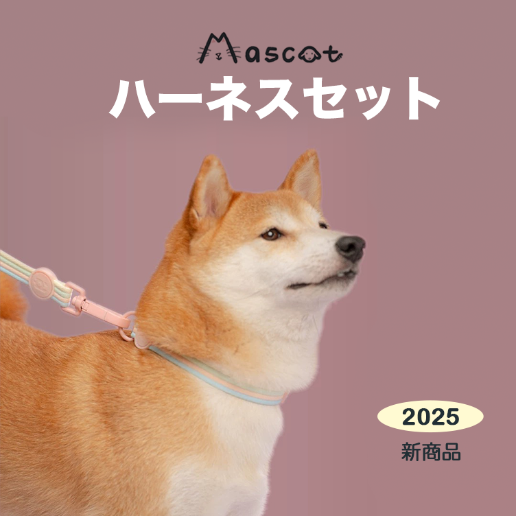 【Mascot ショップ】犬用ハーネスセット